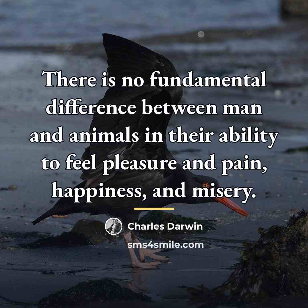 “There is no fundamental difference between man and animals in…” quote by Charles Darwin