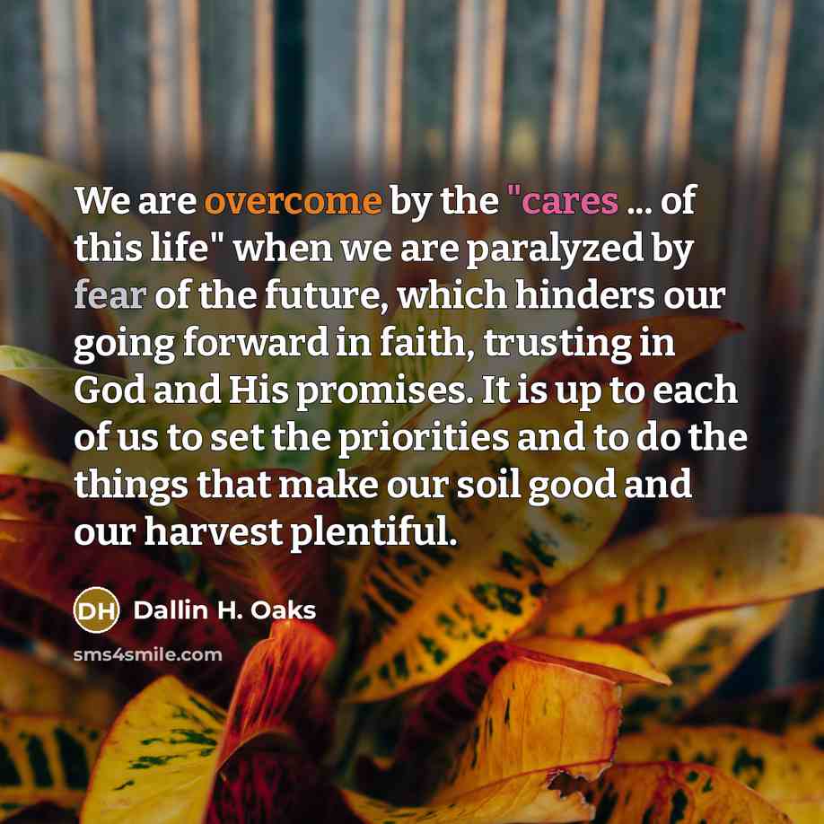 “We are overcome by the "cares ... of this life"…” quote by Dallin H. Oaks
