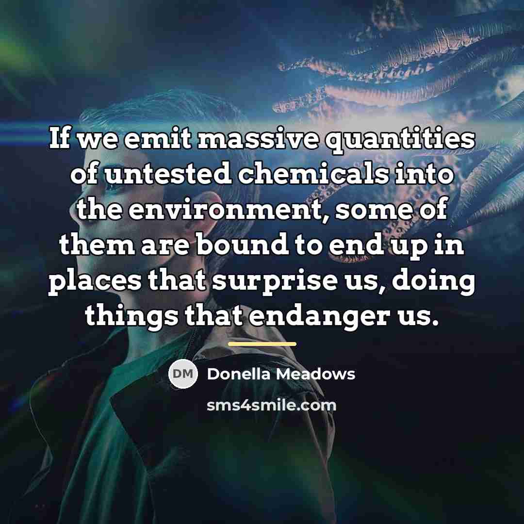 “If we emit massive quantities of untested chemicals into the…” quote by Donella Meadows