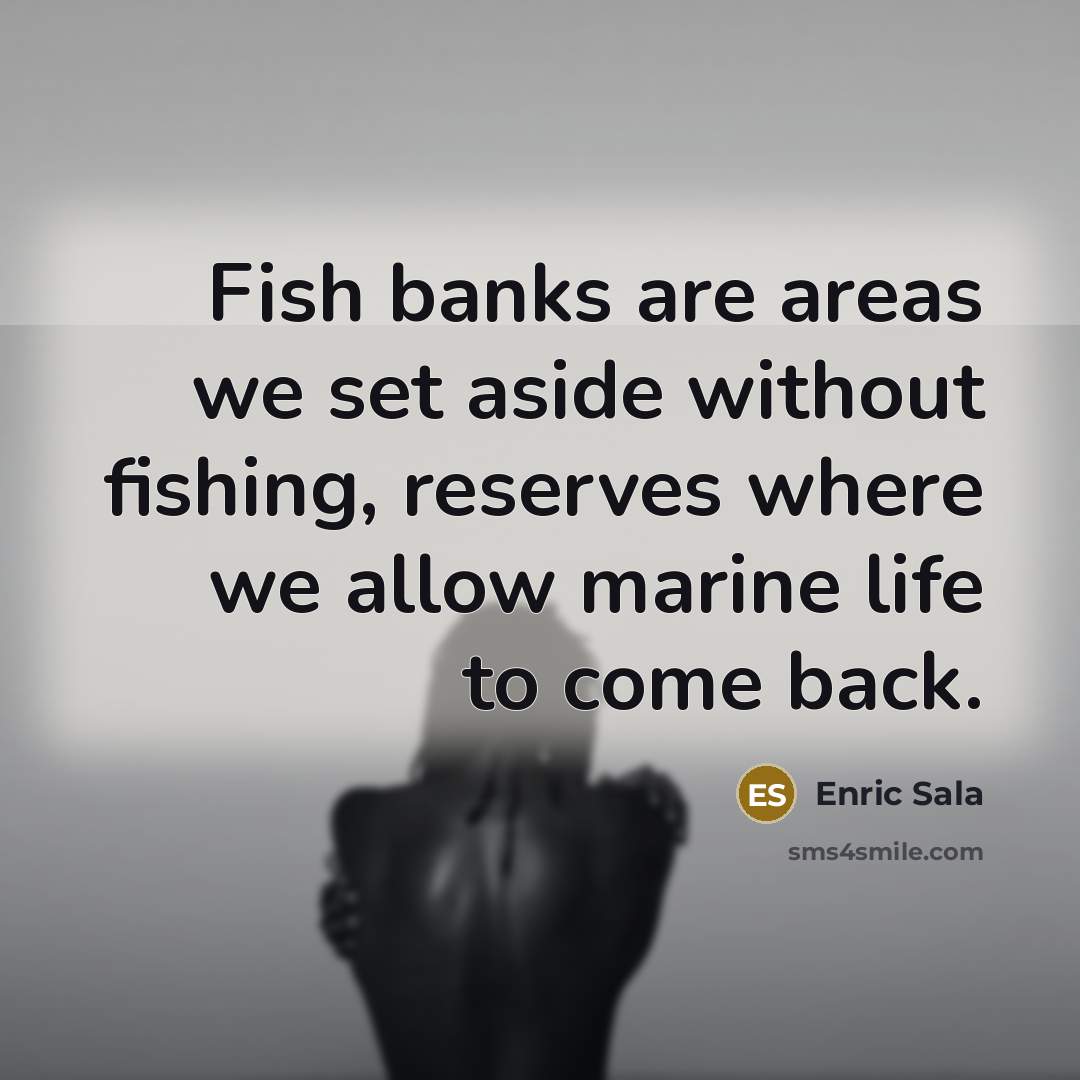 “Fish banks are areas we set aside without fishing, reserves…” quote by Enric Sala