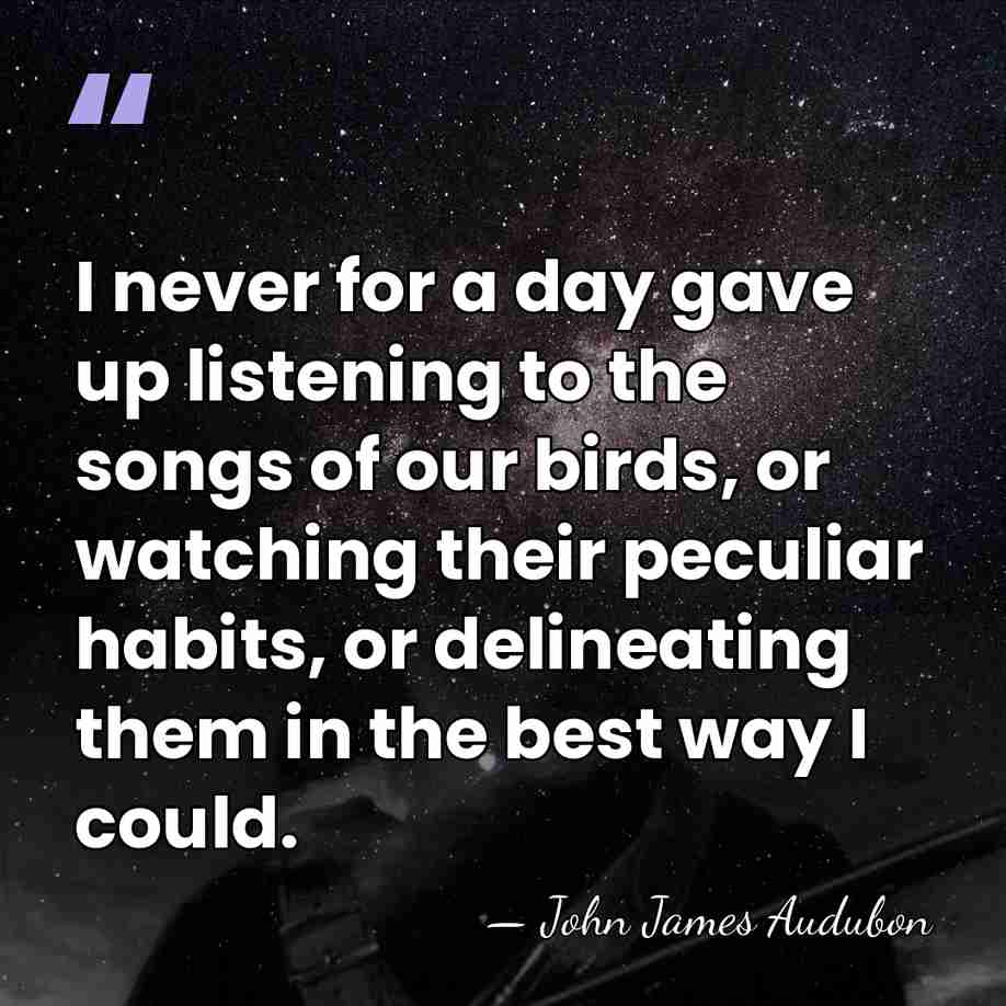 I never for a day gave up listening to the songs of&hellip; - John James Audubon
