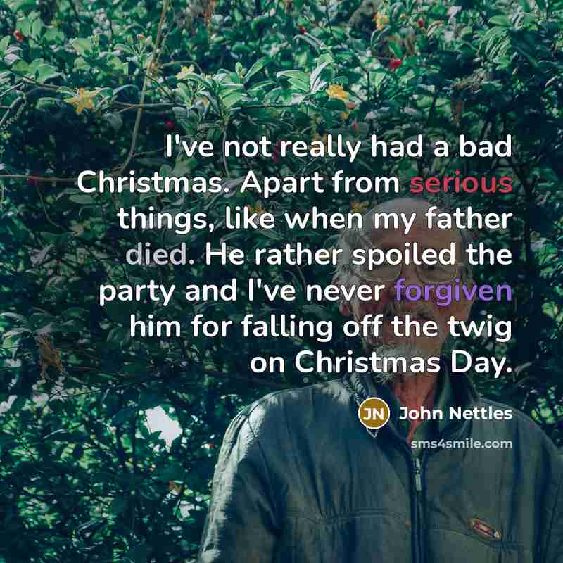 “I've not really had a bad Christmas. Apart from serious…” quote by John Nettles