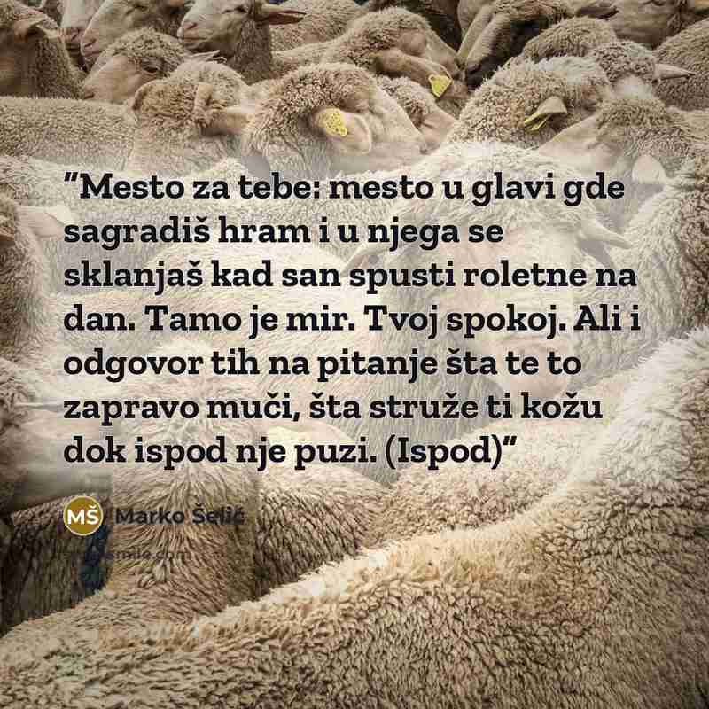 “Mesto za tebe: mesto u glavi gde sagradiš hram i u njega se sklanjaš kad san spusti roletne na dan. Tamo je mir. Tvoj spokoj. Ali i odgovor tih na pitanje šta te to zapravo muči, šta struže ti kožu dok ispod nje puzi. (Ispod)” quote by Marko Šelić
