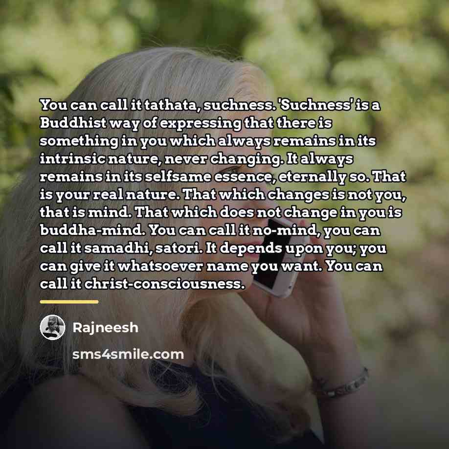 “You can call it tathata, suchness. 'Suchness' is a Buddhist…” quote by Rajneesh