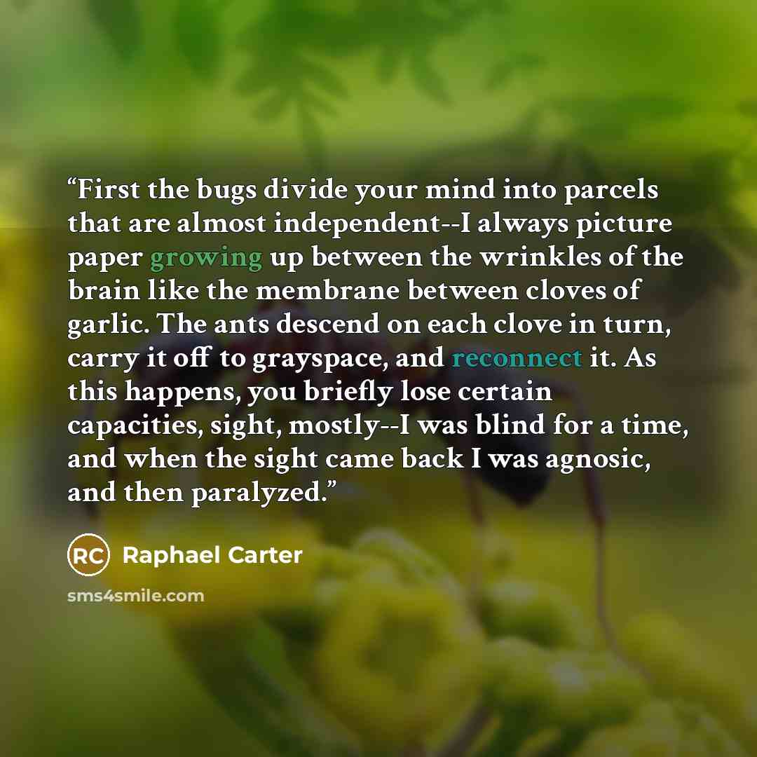 “First the bugs divide your mind into parcels that are almost independent--I always picture paper growing up between the wrinkles of the brain like the membrane between cloves of garlic. The ants descend on each clove in turn, carry it off to grayspace, and reconnect it. As this happens, you…” quote by Raphael Carter