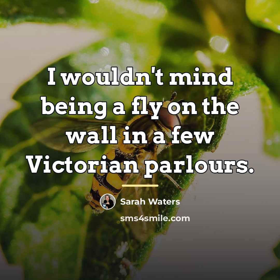“I wouldn't mind being a fly on the wall in…” quote by Sarah Waters