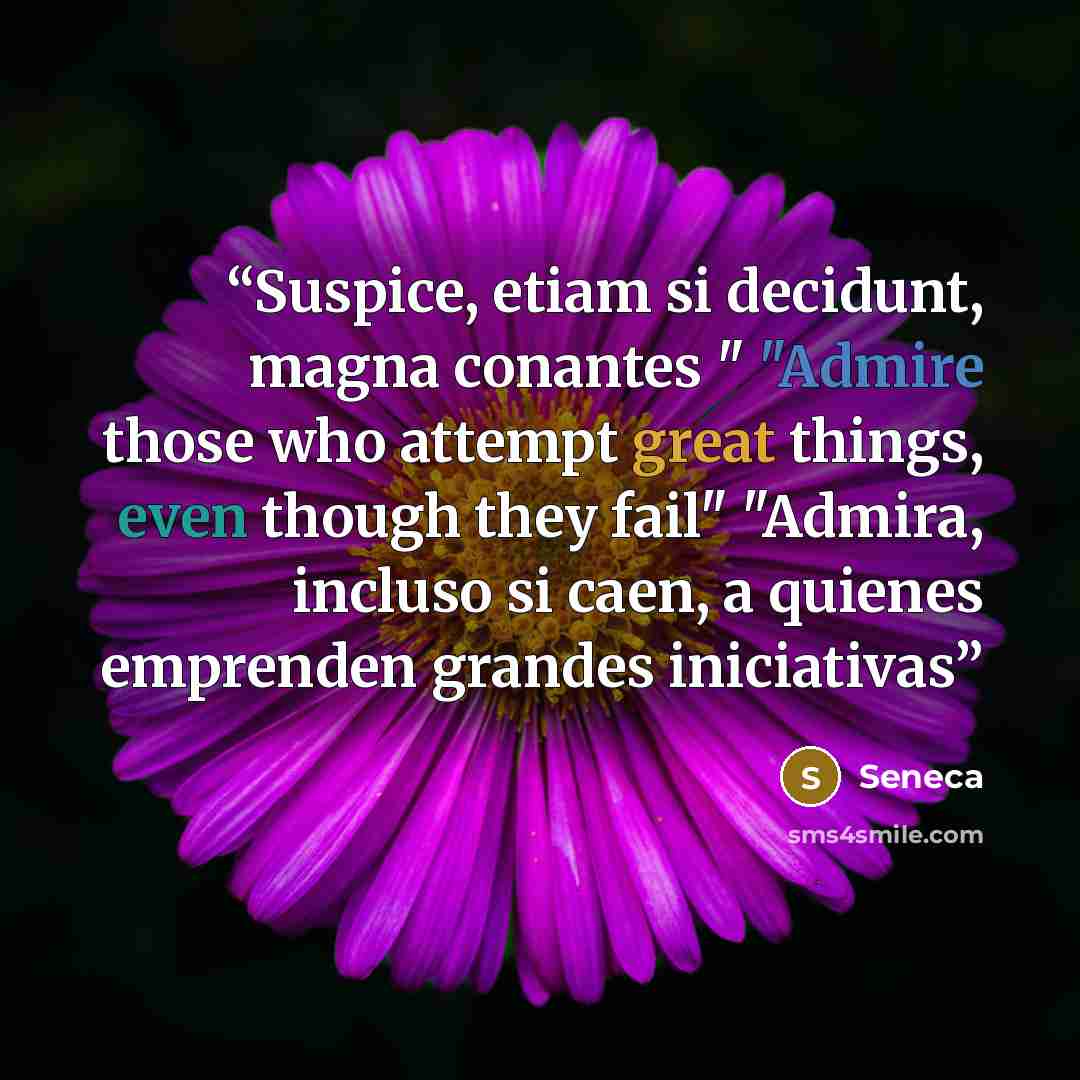 “Suspice, etiam si decidunt, magna conantes " "Admire those who attempt great things, even though they fail" "Admira, incluso si caen, a quienes emprenden grandes iniciativas” quote by Seneca