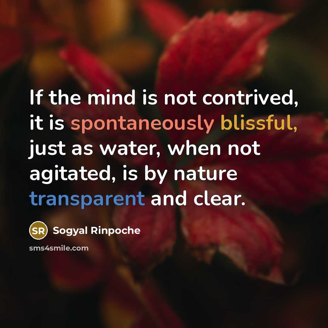 “If the mind is not contrived, it is spontaneously blissful, just as water, when not agitated, is by nature transparent and clear.” quote by Sogyal Rinpoche