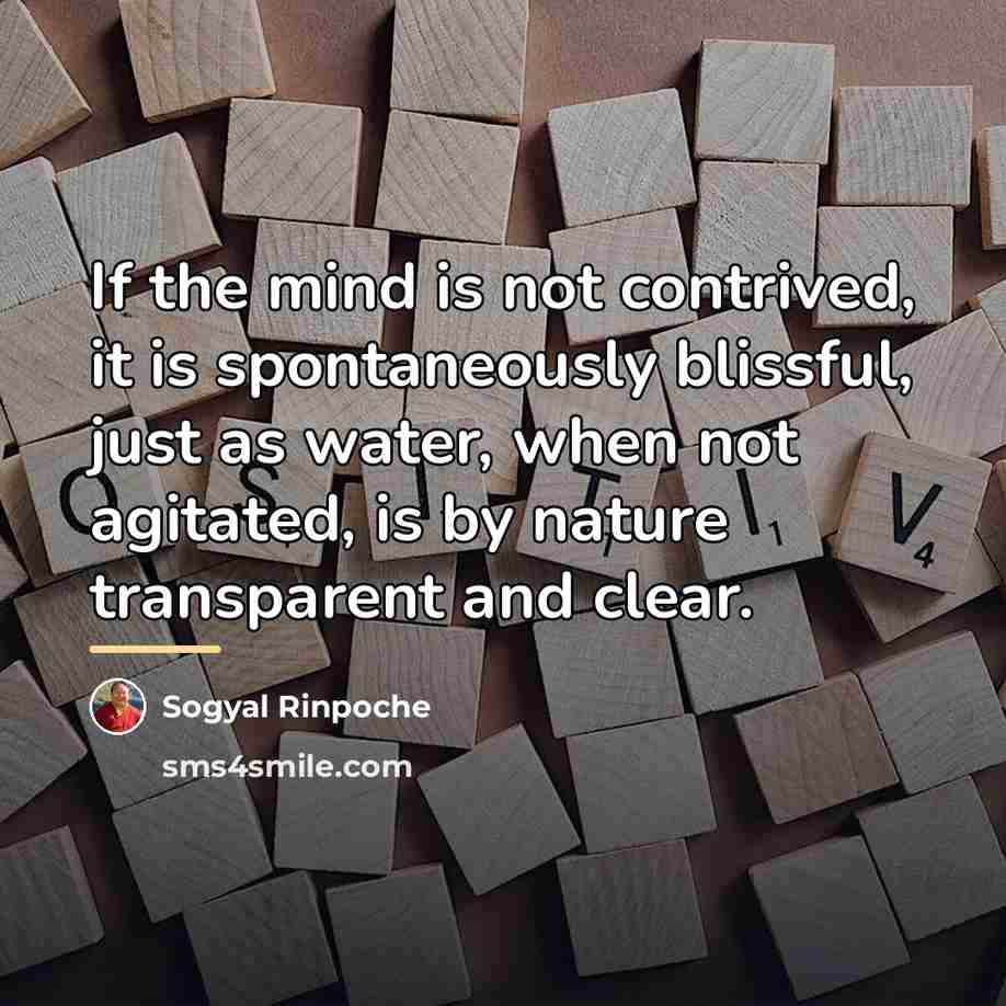“If the mind is not contrived, it is spontaneously blissful,…” quote by Sogyal Rinpoche