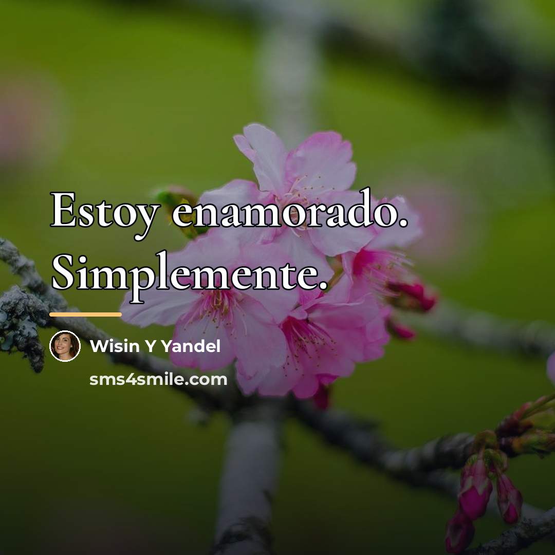 “Estoy enamorado. Simplemente.…” quote by Wisin Y Yandel