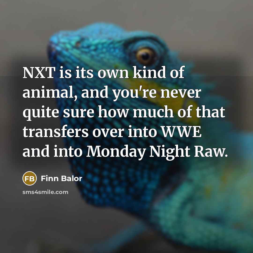 “NXT is its own kind of animal, and you're never…” quote by Finn Balor