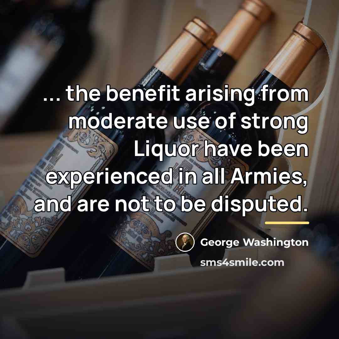 “... the benefit arising from moderate use of strong Liquor…” quote by George Washington