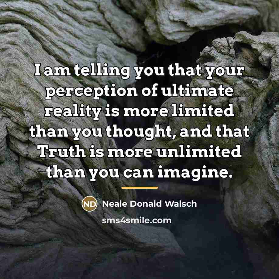 “I am telling you that your perception of ultimate reality…” quote by Neale Donald Walsch