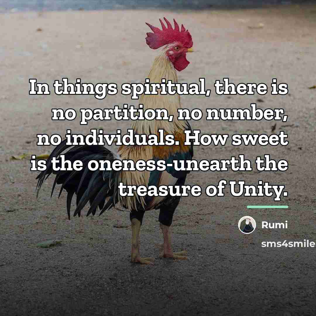 “In things spiritual, there is no partition, no number, no…” quote by Rumi