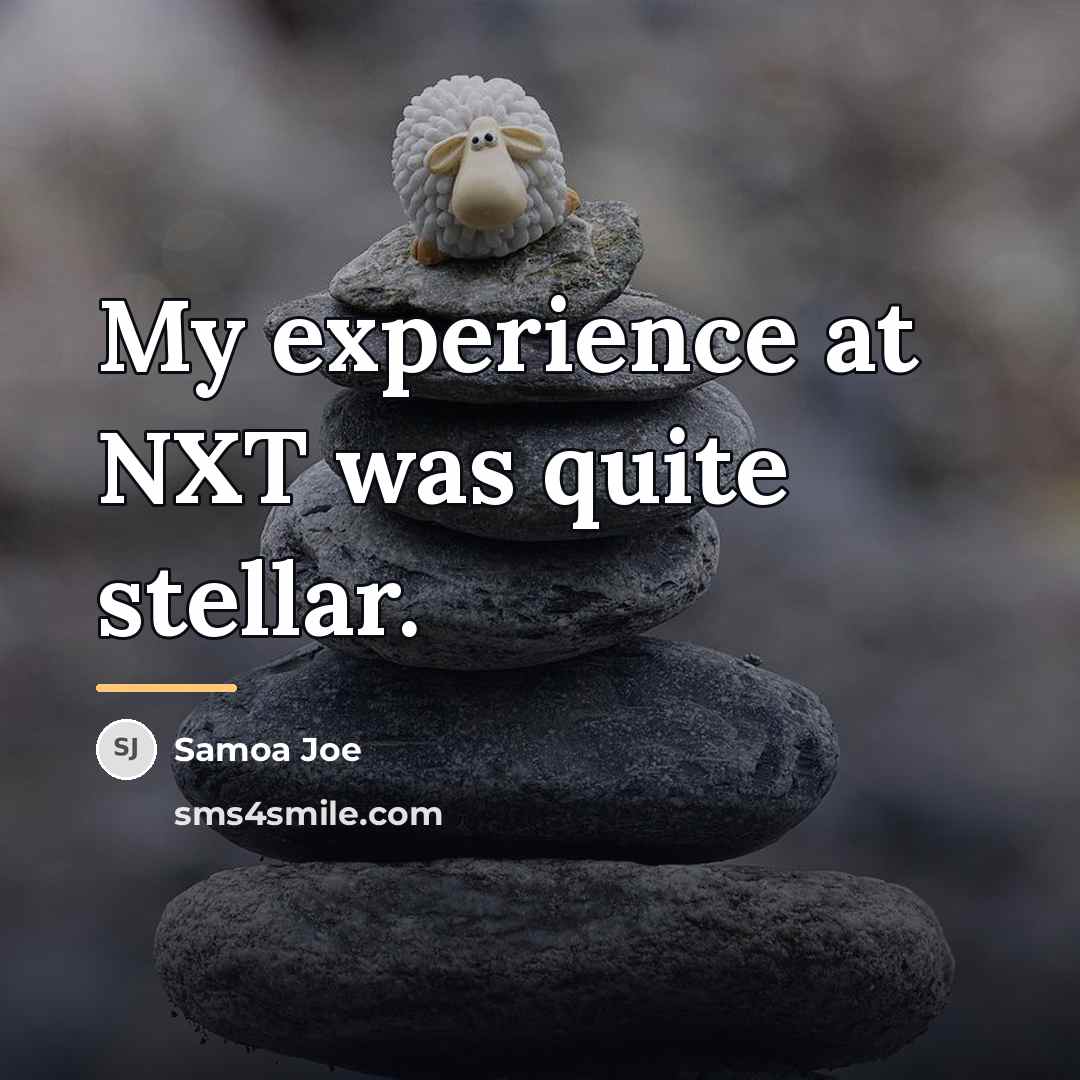 “My experience at NXT was quite stellar.…” quote by Samoa Joe