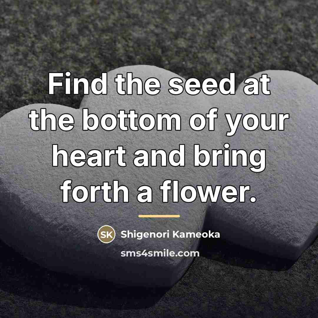 “Find the seed at the bottom of your heart and…” quote by Shigenori Kameoka
