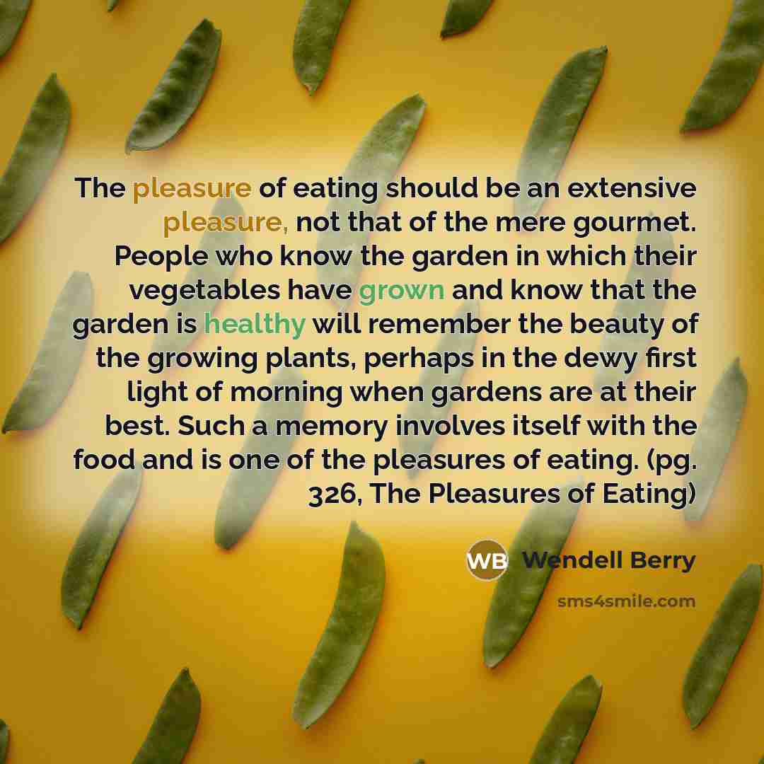 “The pleasure of eating should be an extensive pleasure, not…” quote by Wendell Berry