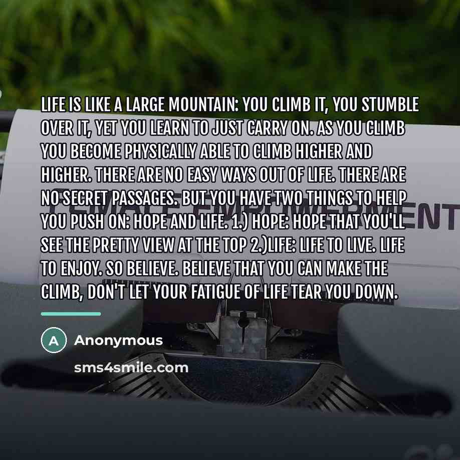 “Life is like a large mountain: You climb it, you…” quote by Anonymous