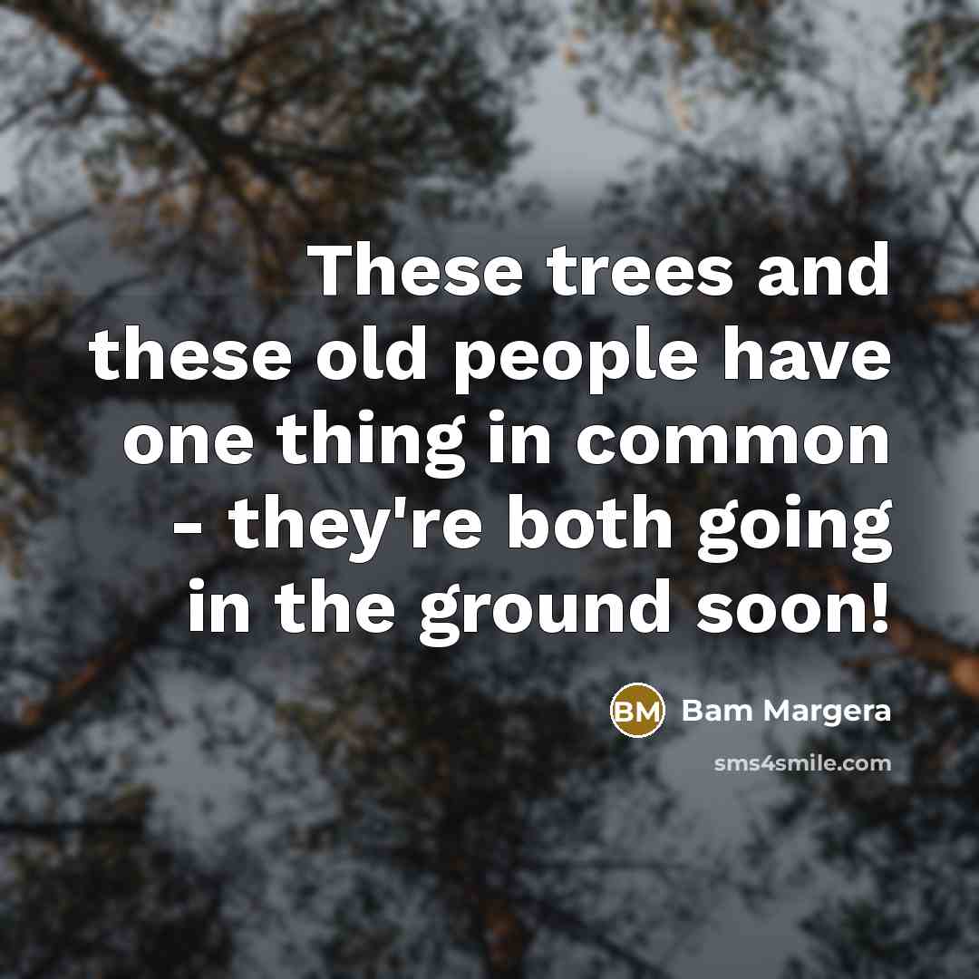 “These trees and these old people have one thing in…” quote by Bam Margera