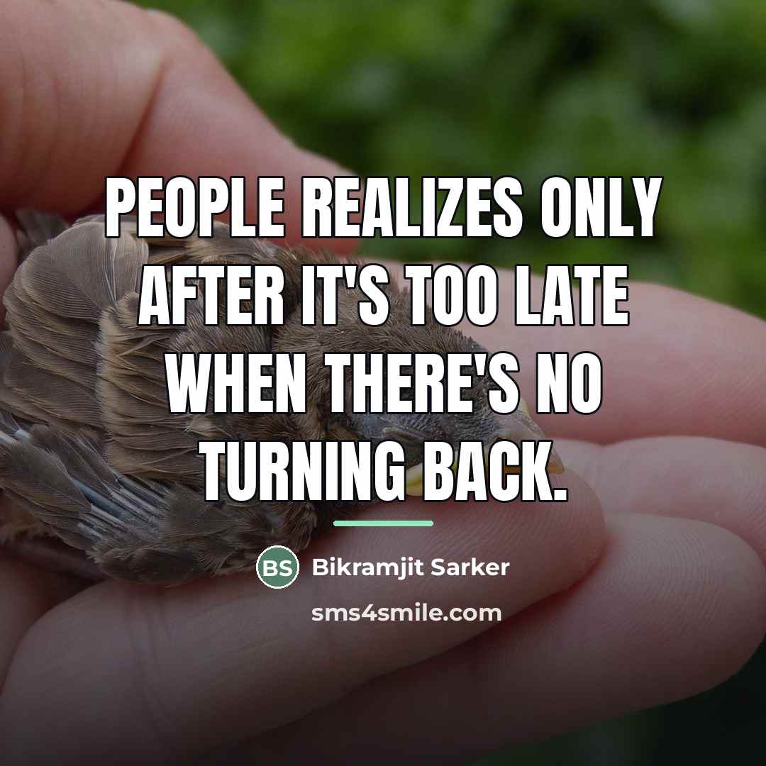 “People realizes only after it's too late when there's no…” quote by Bikramjit Sarker