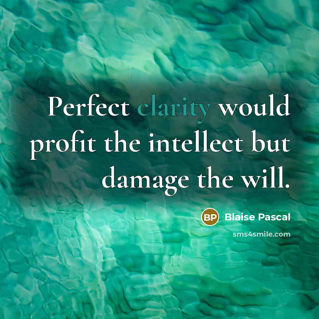 “Perfect clarity would profit the intellect but damage the will.…” quote by Blaise Pascal