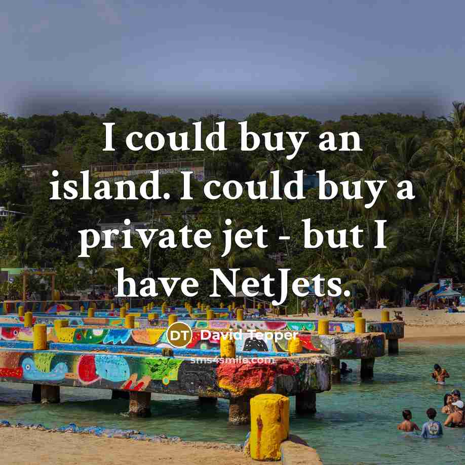 “I could buy an island. I could buy a private…” quote by David Tepper