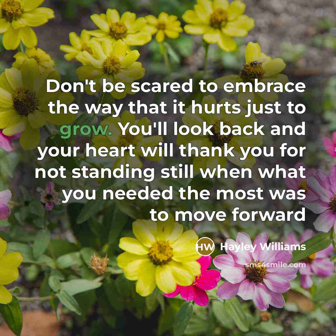 “Don't be scared to embrace the way that it hurts…” quote by Hayley Williams