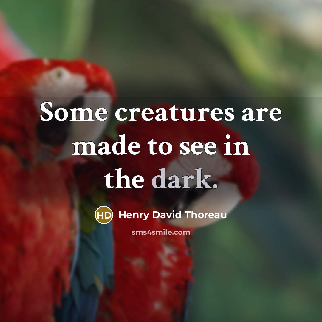 “Some creatures are made to see in the dark.…” quote by Henry David Thoreau