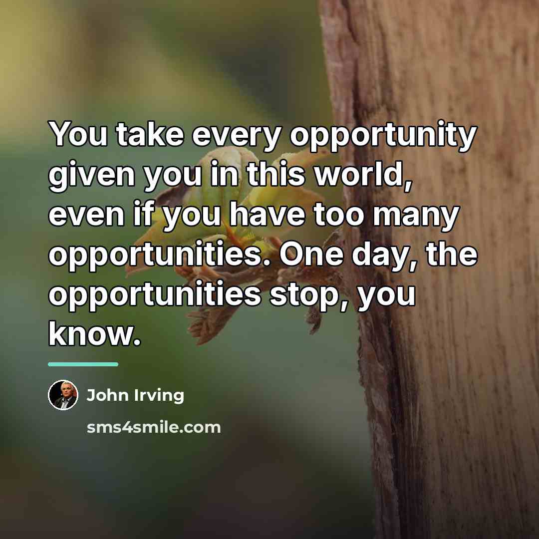 “You take every opportunity given you in this world, even…” quote by John Irving