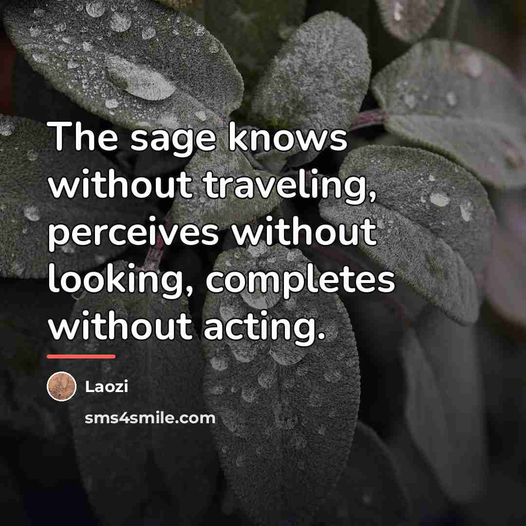 “The sage knows without traveling, perceives without looking, completes without…” quote by Laozi