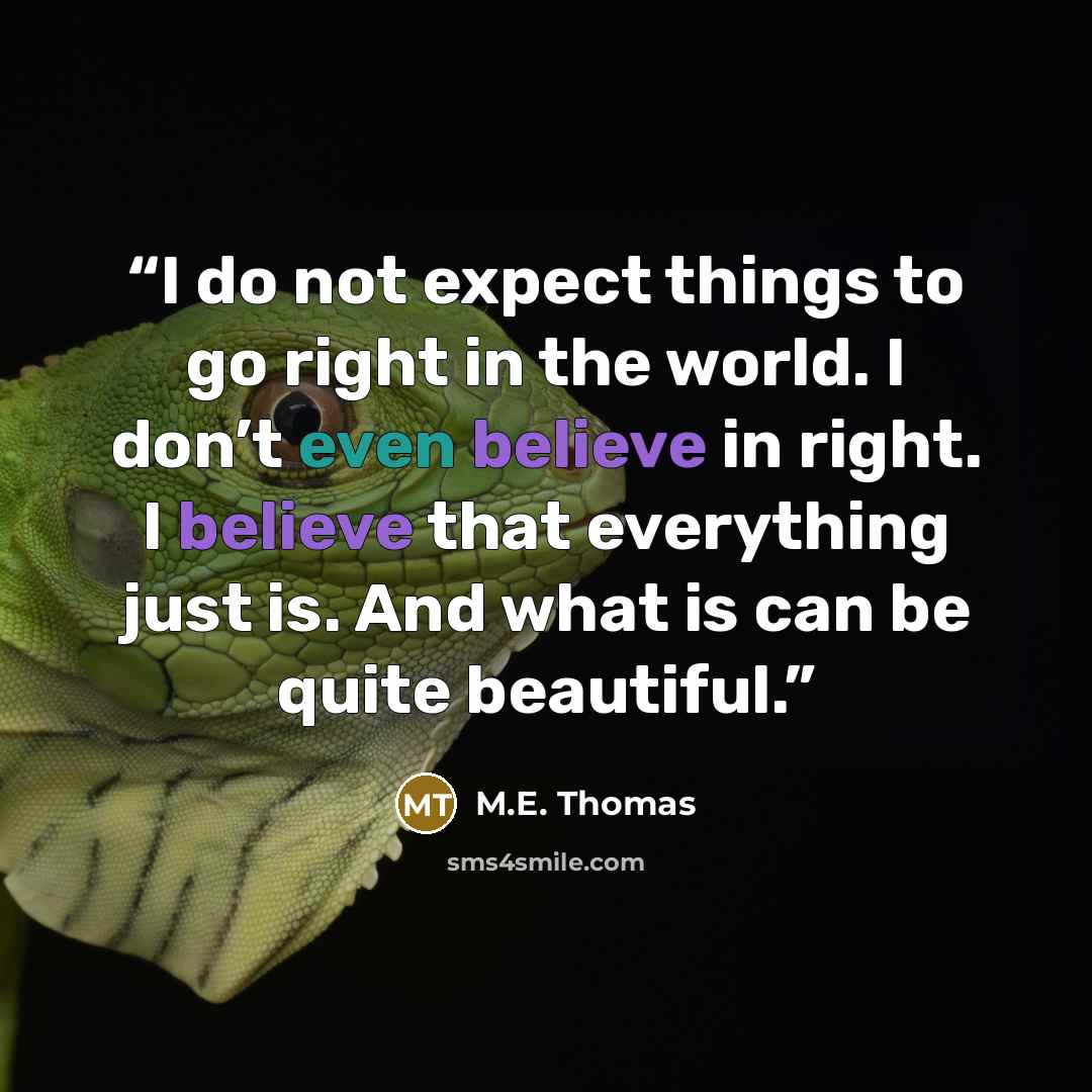 “I do not expect things to go right in the world. I don’t even believe in right. I believe that everything just is. And what is can be quite beautiful.” quote by M.E. Thomas