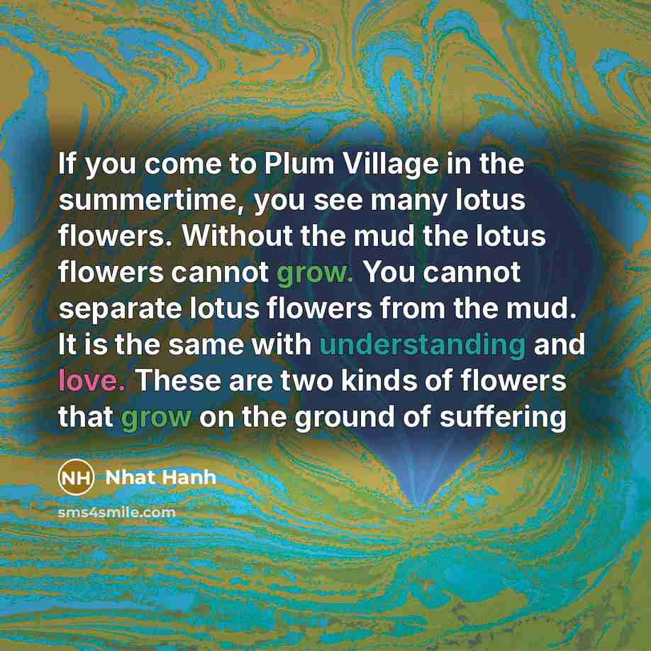 “If you come to Plum Village in the summertime, you…” quote by Nhat Hanh