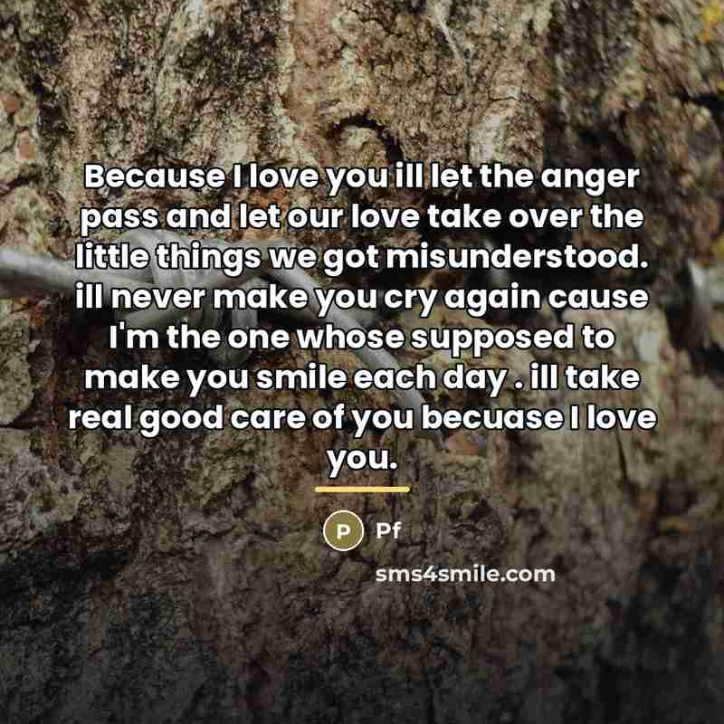 “Because I love you ill let the anger pass and…” quote by Pf