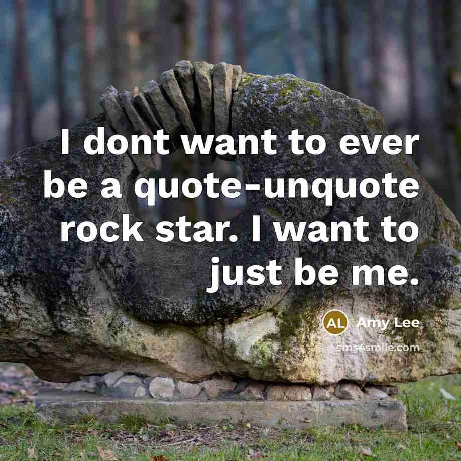 “I dont want to ever be a quote-unquote rock star.…” quote by Amy Lee