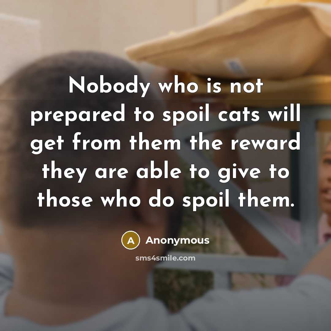 “Nobody who is not prepared to spoil cats will get…” quote by Anonymous