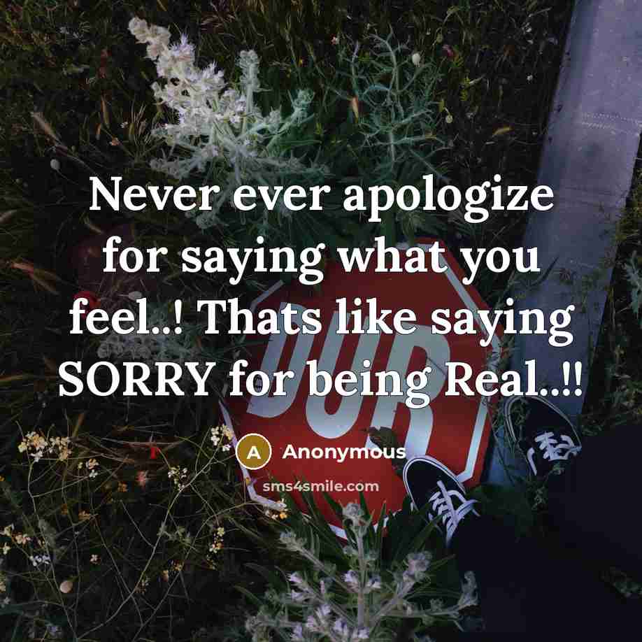 “Never ever apologize for saying what you feel..! Thats like saying SORRY for being Real..!!” quote by Anonymous