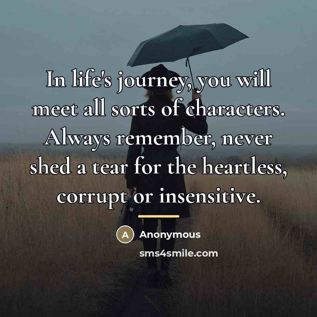 “In life's journey, you will meet all sorts of characters.…” quote by Anonymous