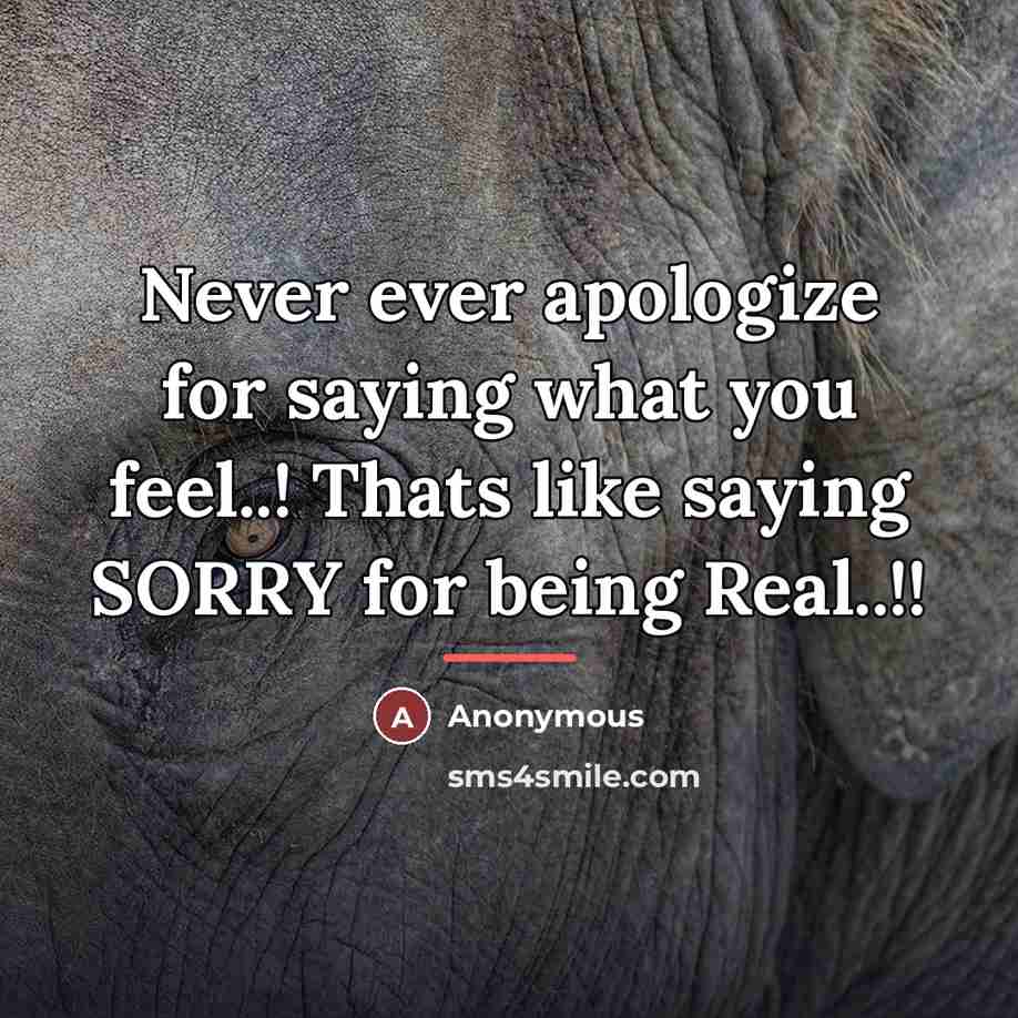 “Never ever apologize for saying what you feel..! Thats like…” quote by Anonymous