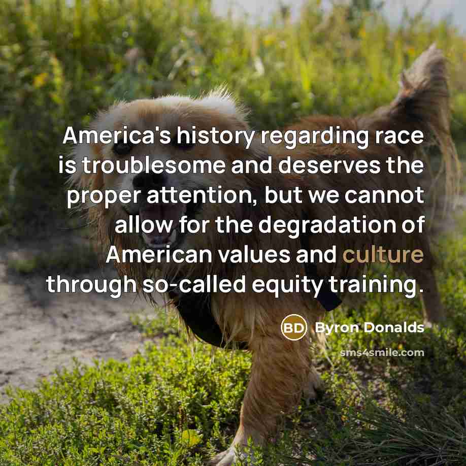 “America's history regarding race is troublesome and deserves the proper…” quote by Byron Donalds