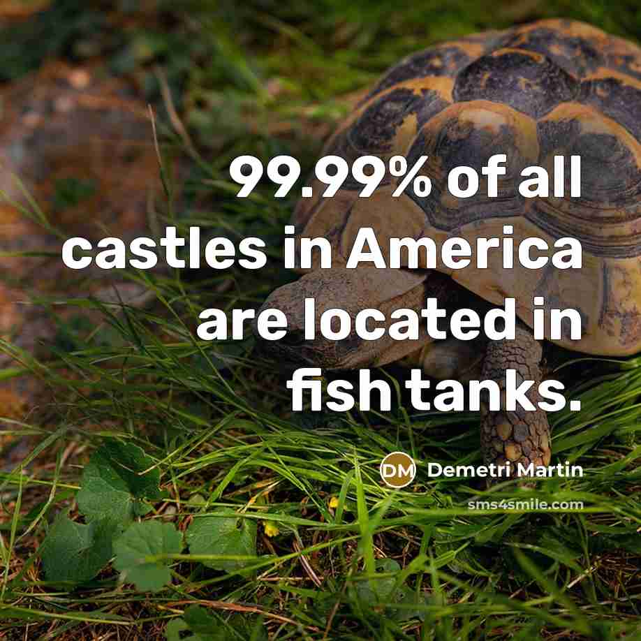 “99.99% of all castles in America are located in fish…” quote by Demetri Martin