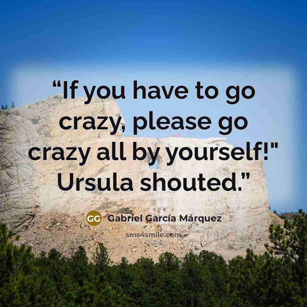 “If you have to go crazy, please go crazy all by yourself!" Ursula shouted.” quote by Gabriel García Márquez