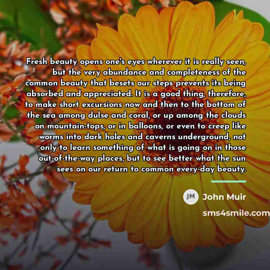 “Fresh beauty opens one's eyes wherever it is really seen,…” quote by John Muir