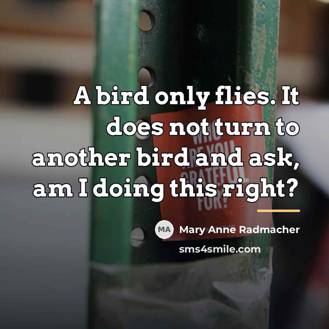 “A bird only flies. It does not turn to another…” quote by Mary Anne Radmacher