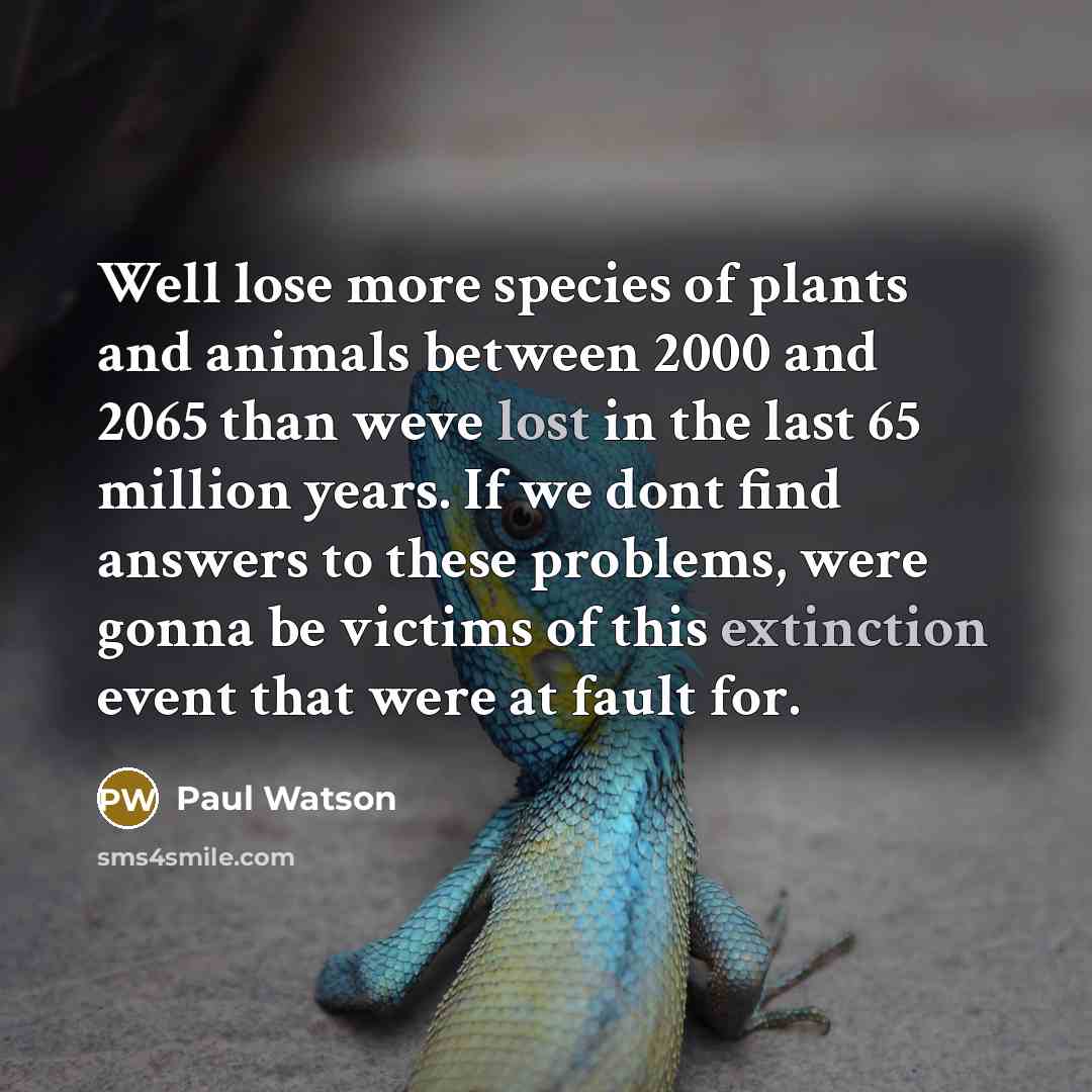 “Well lose more species of plants and animals between 2000…” quote by Paul Watson