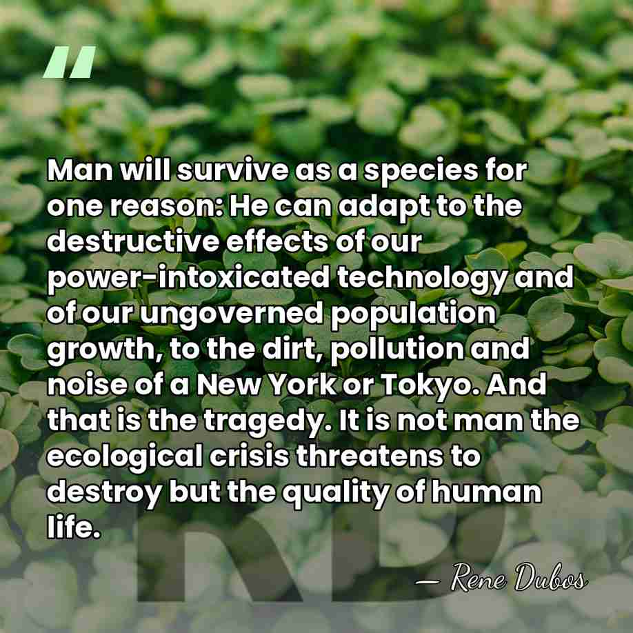 Man will survive as a species for one reason: He can adapt&hellip; - Rene Dubos
