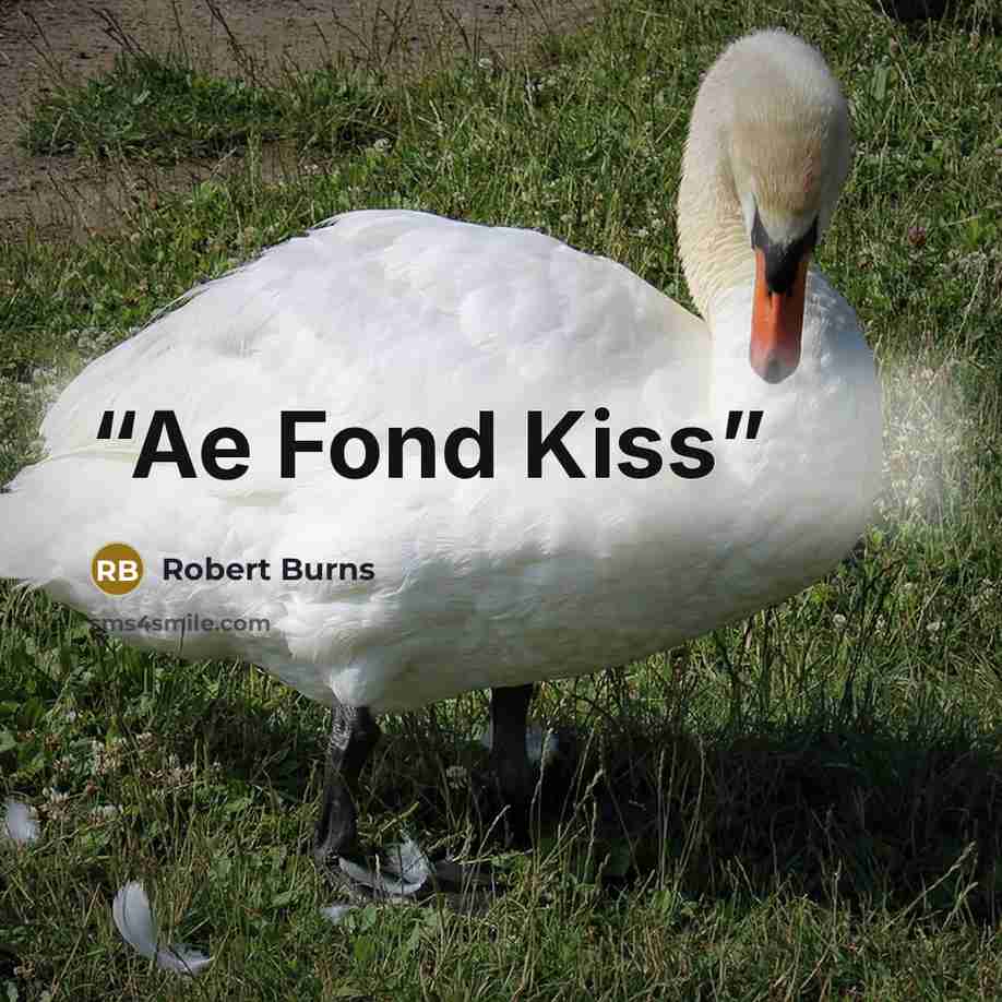 “Ae Fond Kiss” quote by Robert Burns
