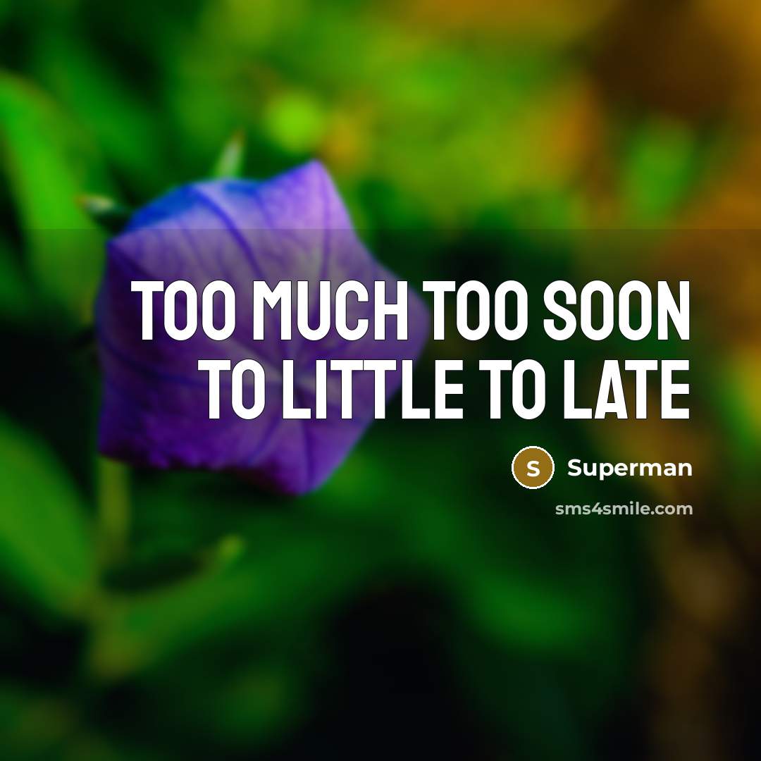 “Too much too soon to little to late…” quote by Superman