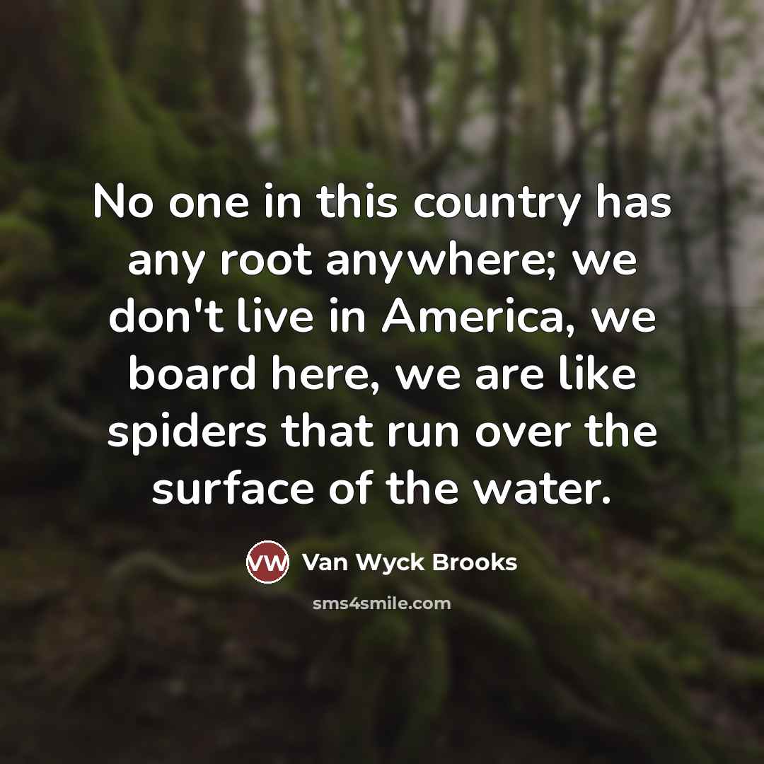 “No one in this country has any root anywhere; we…” quote by Van Wyck Brooks