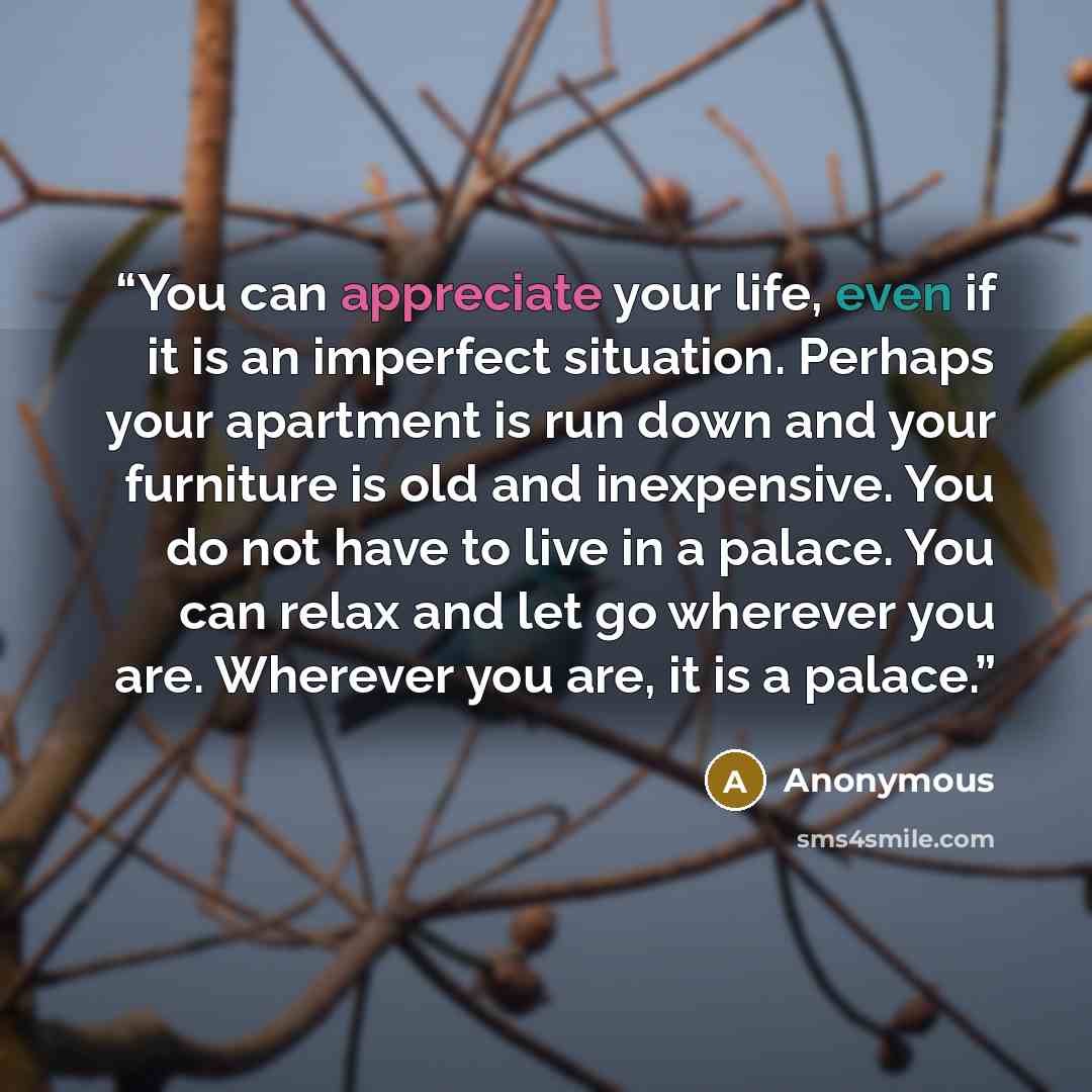 “You can appreciate your life, even if it is an imperfect situation. Perhaps your apartment is run down and your furniture is old and inexpensive. You do not have to live in a palace. You can relax and let go wherever you are. Wherever you are, it is a palace.” quote by Anonymous