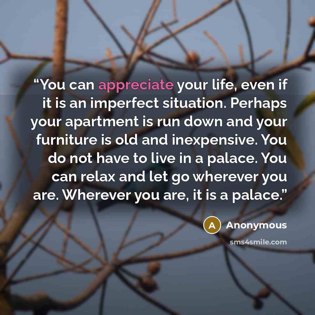 “You can appreciate your life, even if it is an imperfect situation. Perhaps your apartment is run down and your furniture is old and inexpensive. You do not have to live in a palace. You can relax and let go wherever you are. Wherever you are, it is a palace.” quote by Anonymous